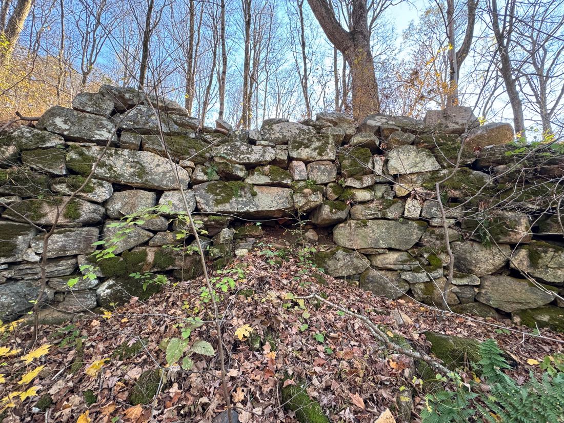 A dry-laid stone wall, believed to be an 18th- or 19th-century lime kiln, built into a wooded slope below the pond
